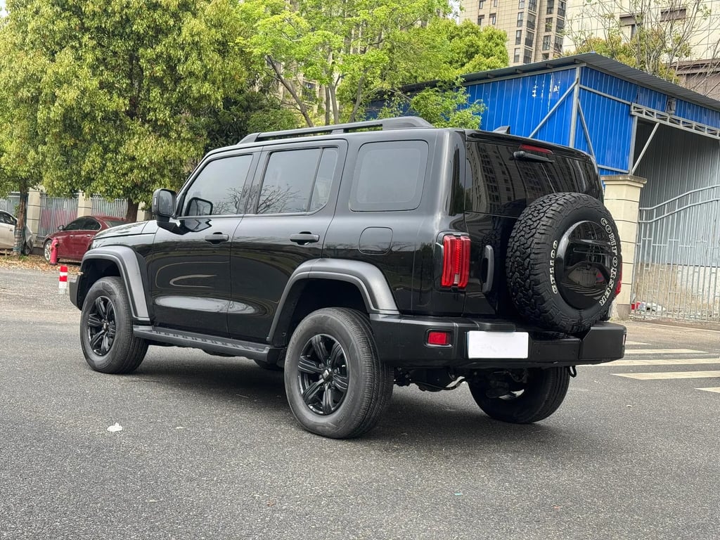 TANK 300 used suv for Nigeria market
