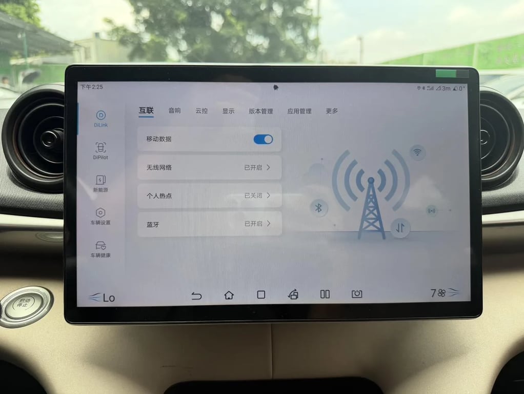 BYD Dolphin used suv for Nigeria market