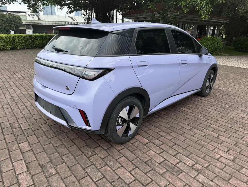BYD Dolphin used suv for Nigeria market