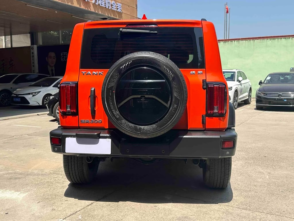TANK 300 used suv for Nigeria market
