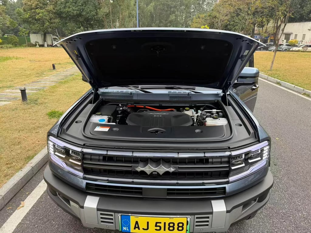 FANG CHENG BAO Bao 5 used suv for Nigeria market