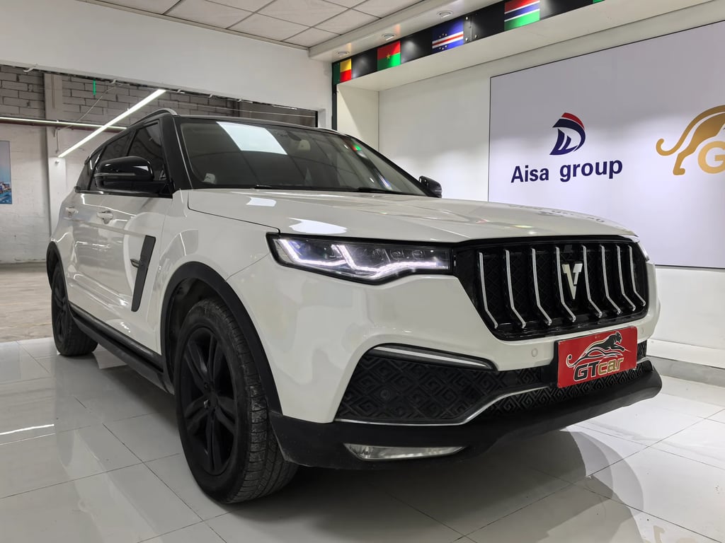 2017 Zotye T700 exterior 2