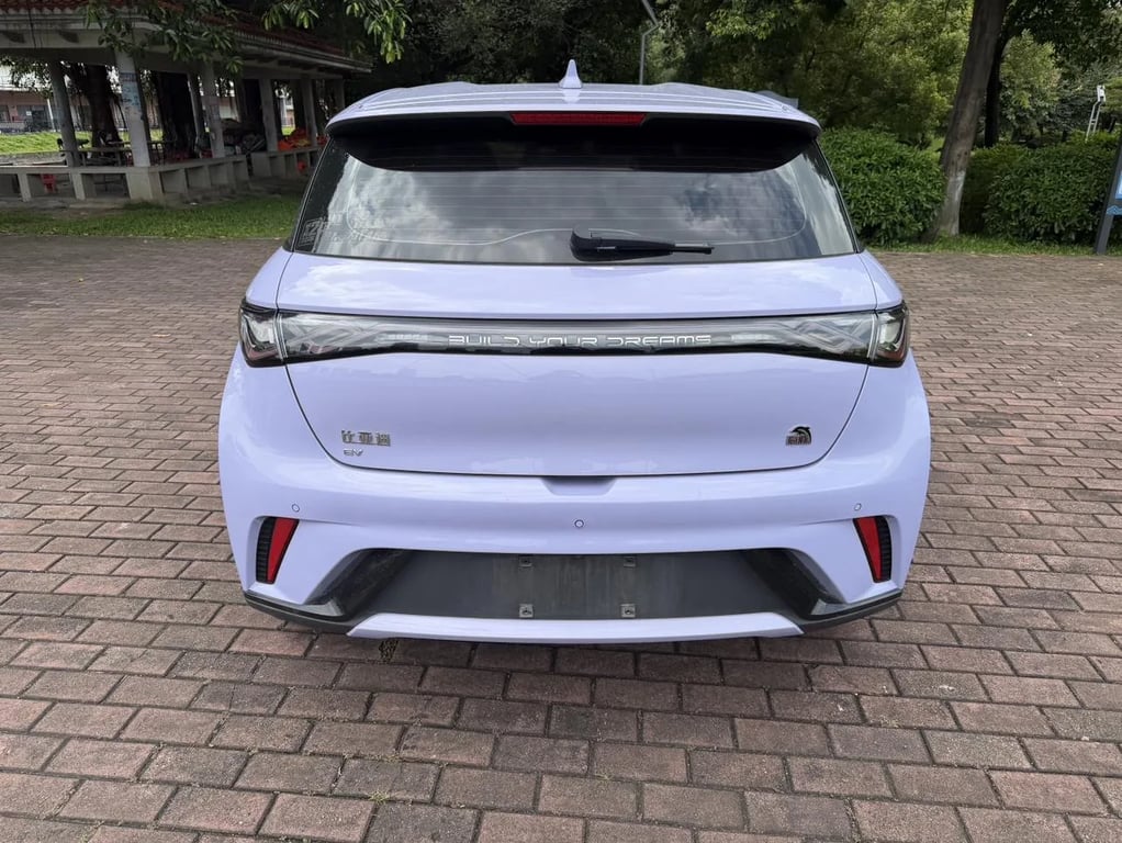 BYD Dolphin used suv for Nigeria market