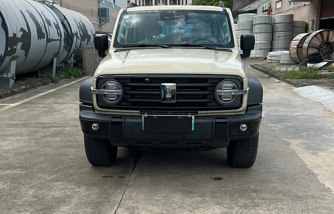 TANK 300 used suv for Nigeria market