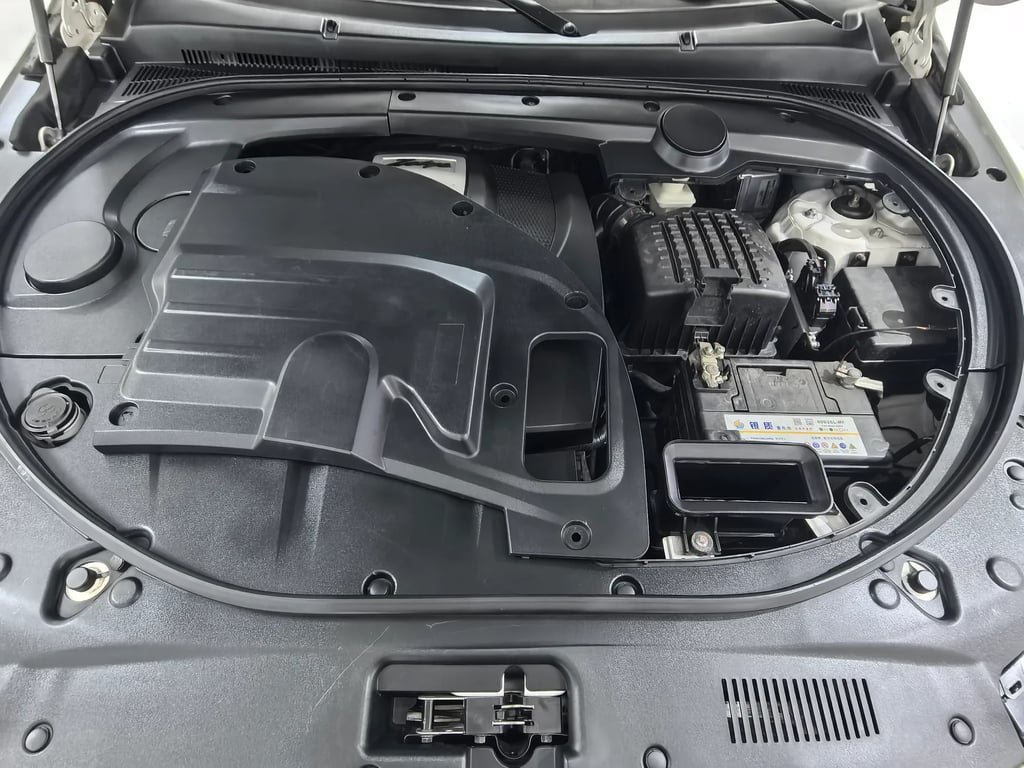 2017 Zotye T700 engine 17