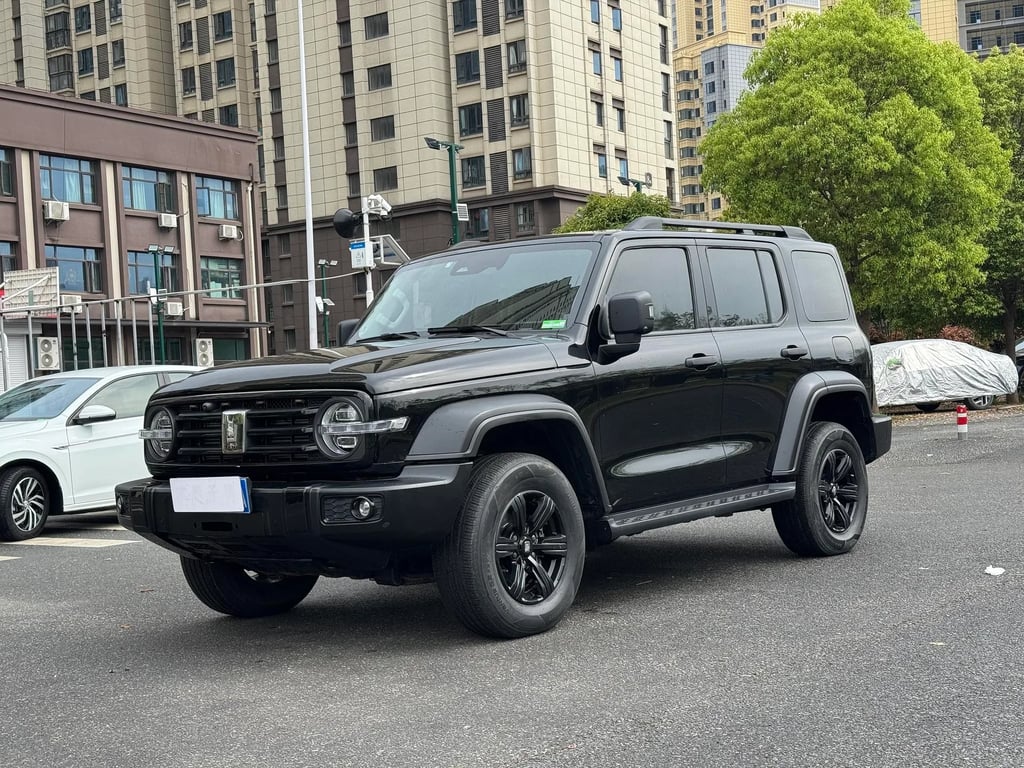 TANK 300 used suv for Nigeria market
