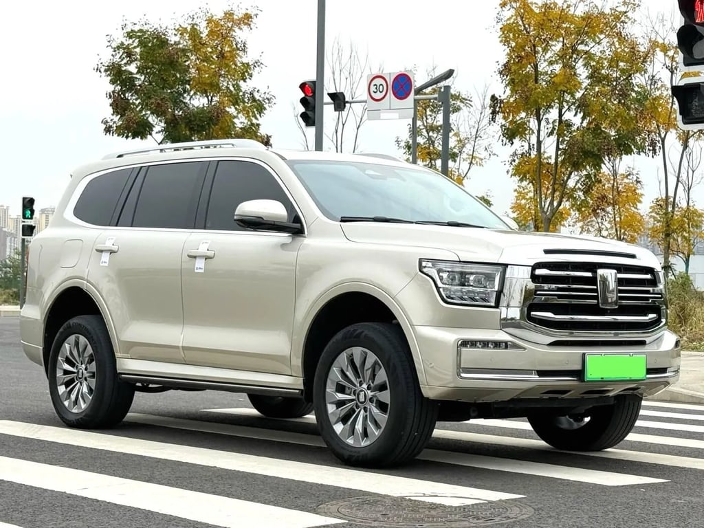 TANK 500 used suv for Nigeria market