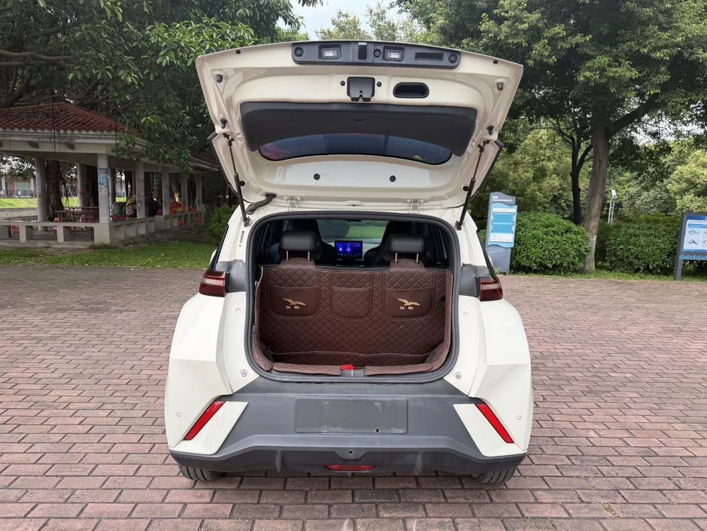 BYD Seagull used suv for Nigeria market