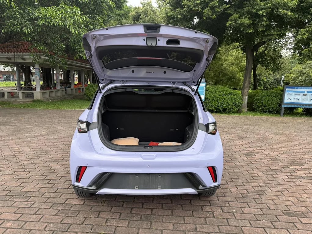 BYD Dolphin used suv for Nigeria market