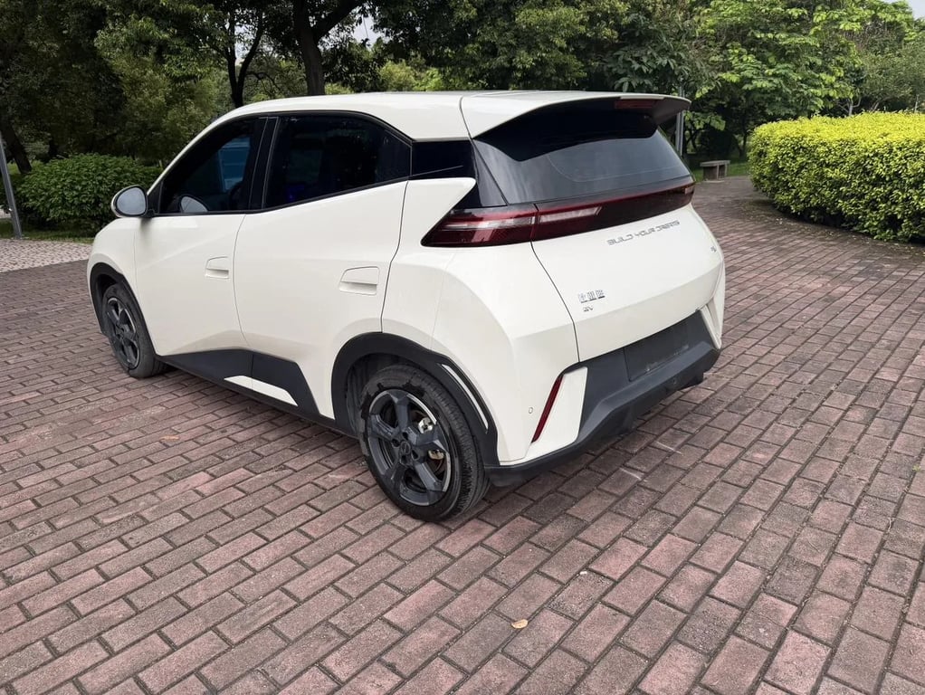 BYD Seagull used suv for Nigeria market