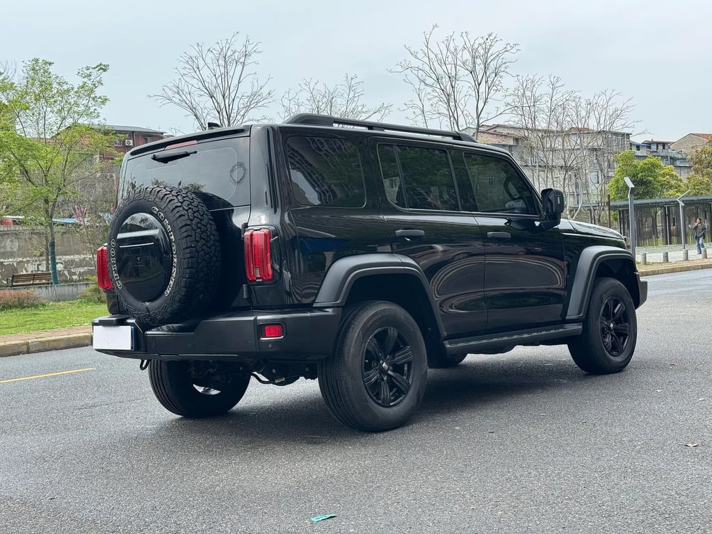 TANK 300 used suv for Nigeria market