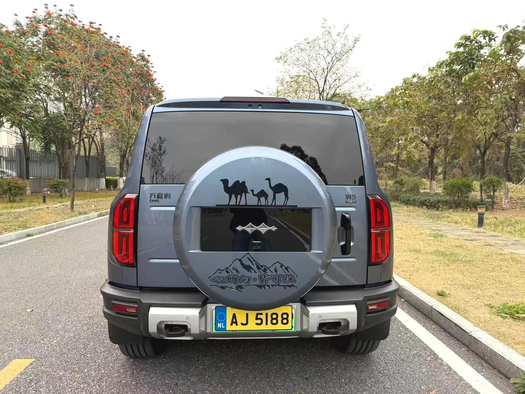 FANG CHENG BAO Bao 5 used suv for Nigeria market