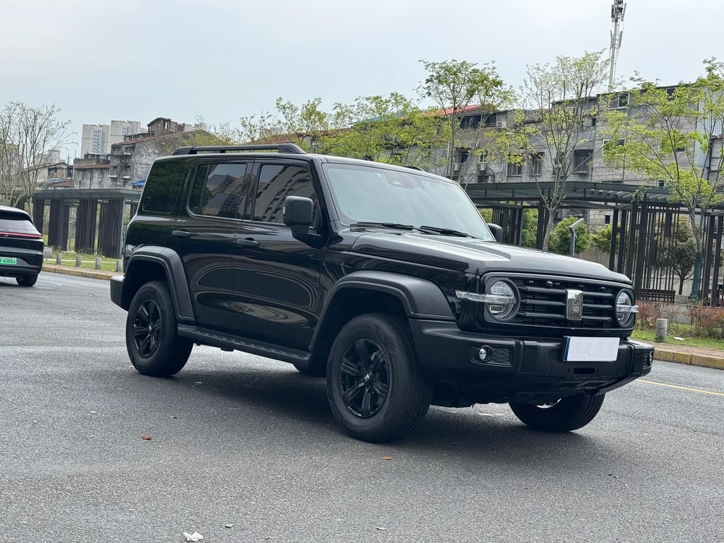 TANK 300 used suv for Nigeria market