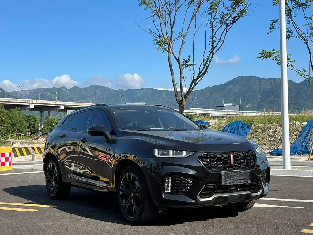 WEY VV7 used suv for Nigeria market