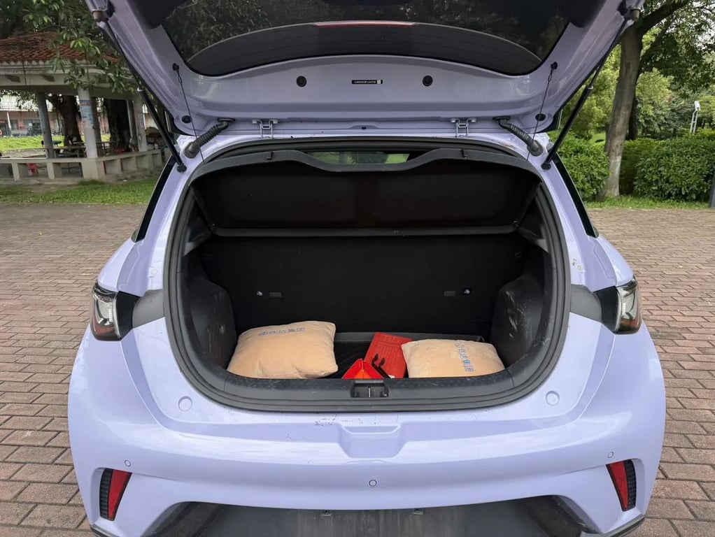 BYD Dolphin used suv for Nigeria market