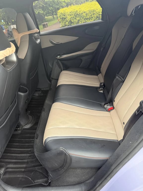 BYD Dolphin used suv for Nigeria market