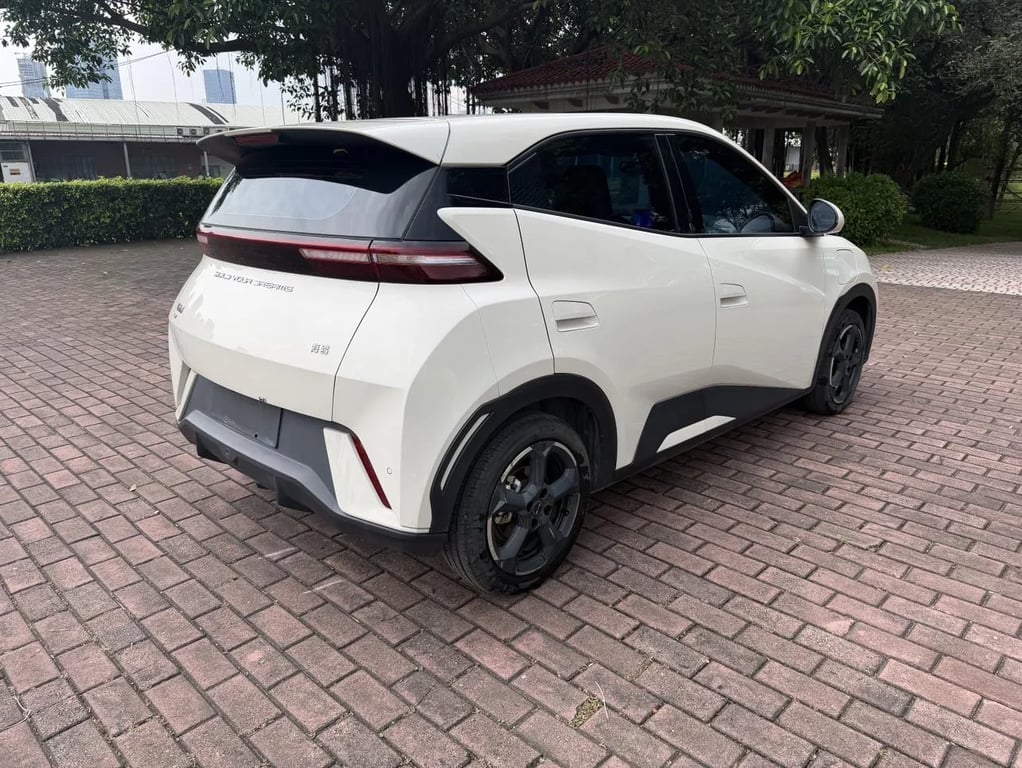 BYD Seagull used suv for Nigeria market