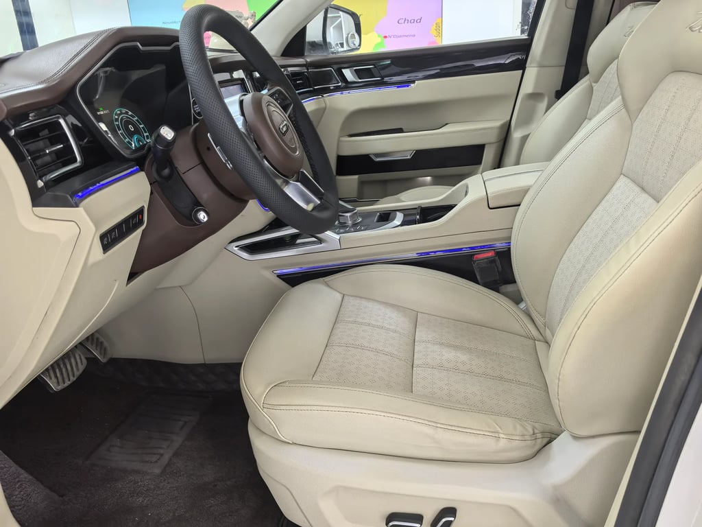 2017 Zotye T700 interior 13
